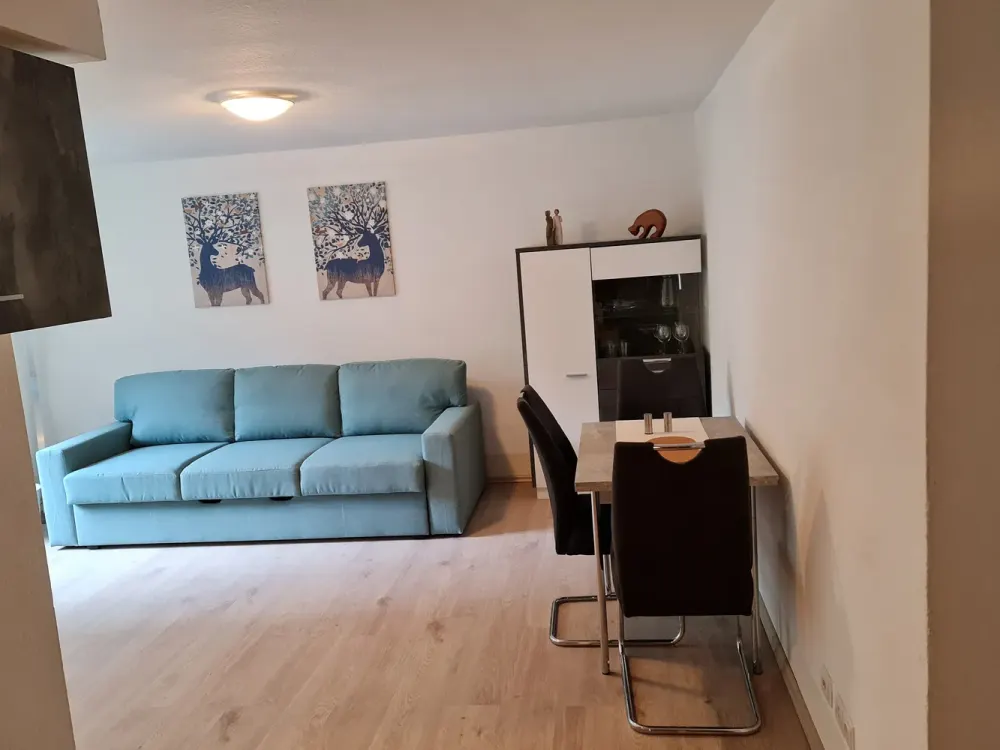 Expat apartment