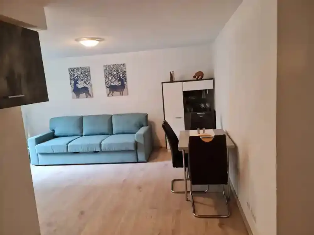 Expat apartment