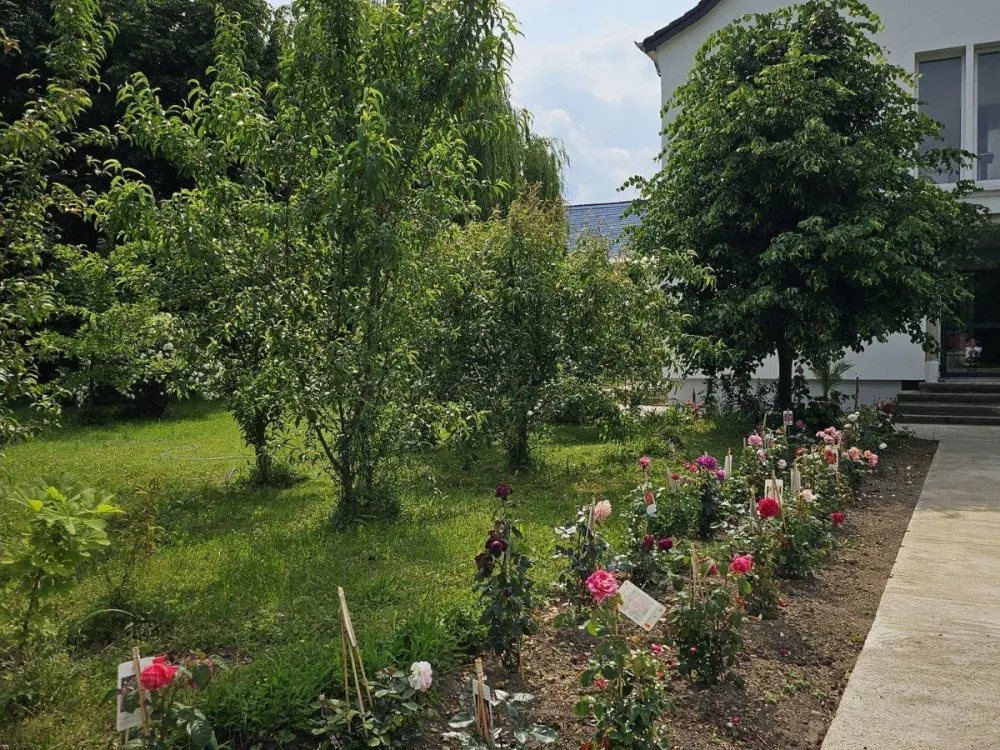 Großzügige sonnige Wohnung zu vermieten