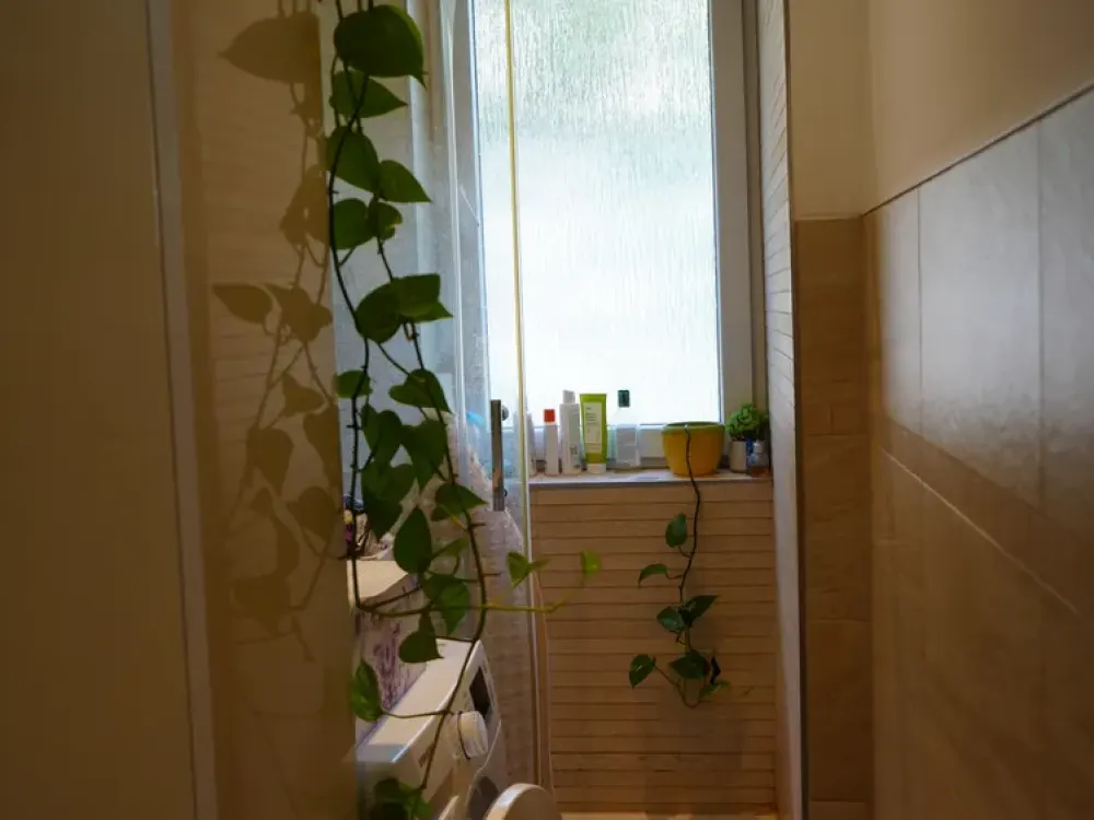 Wunderschöne möblierte 2 Zimmerwohnung im gedämmten Haus zu vermieten