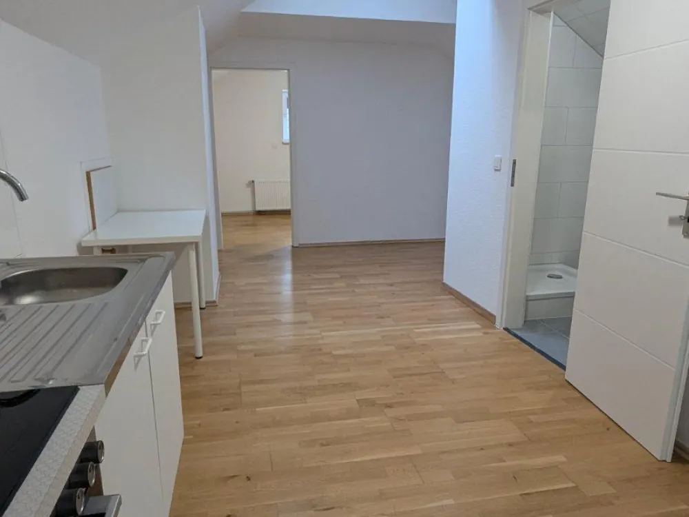 Stilvolle Dachgeschoss-Wohnung mit Garten, zentrale Lage, Harburg