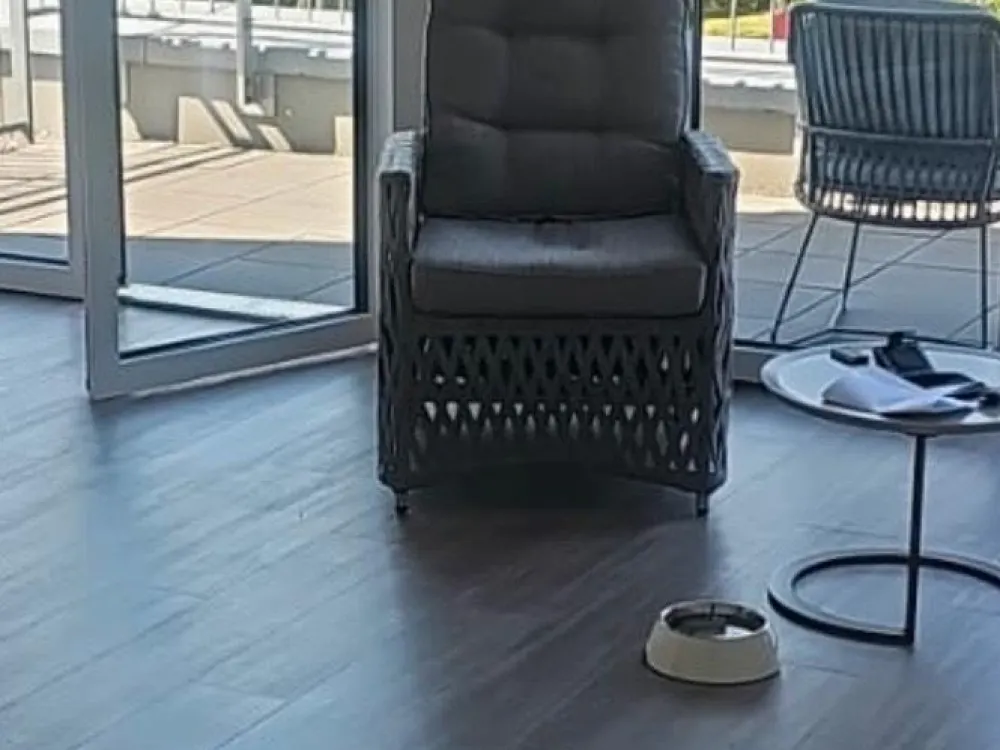 Nachmieter für Penthouse 3 Zimmer in Bornheim gesucht