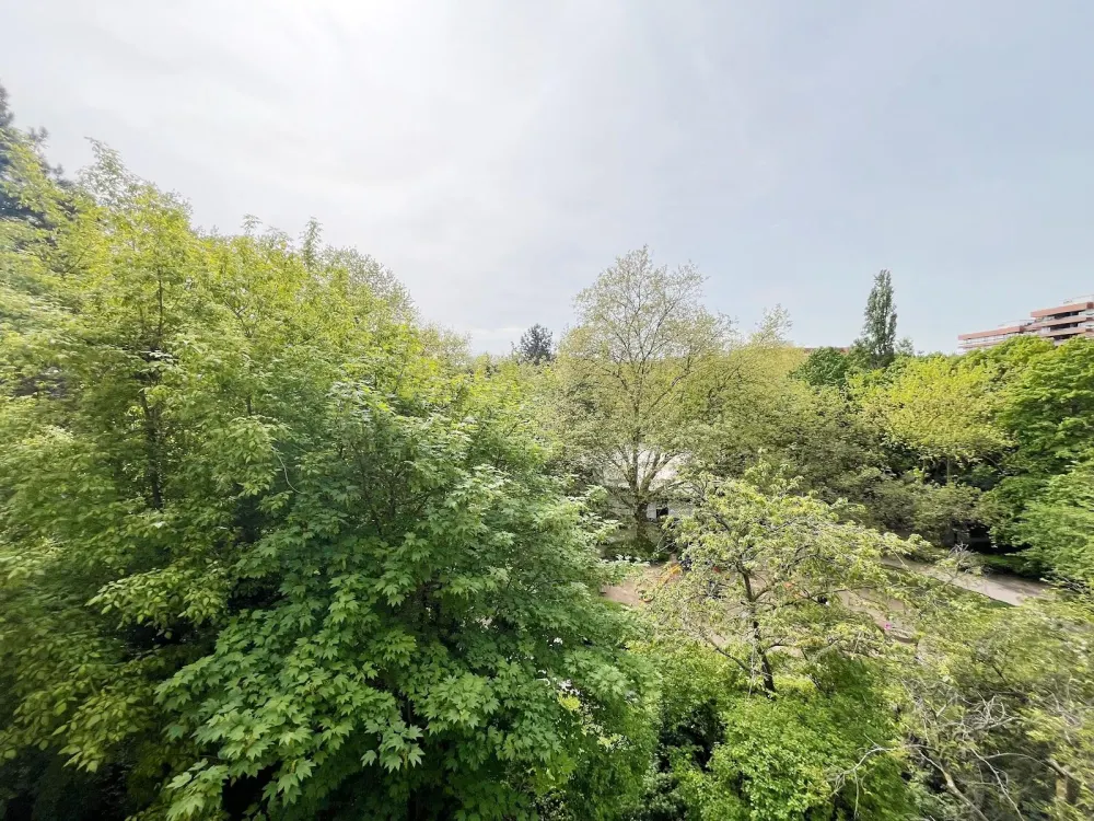 NEUES Bad* NEUER Boden* NEUES Wohngefühl* 3 Zimmer + Balkon, Gäste-WC, Abstellraum, Aufzug