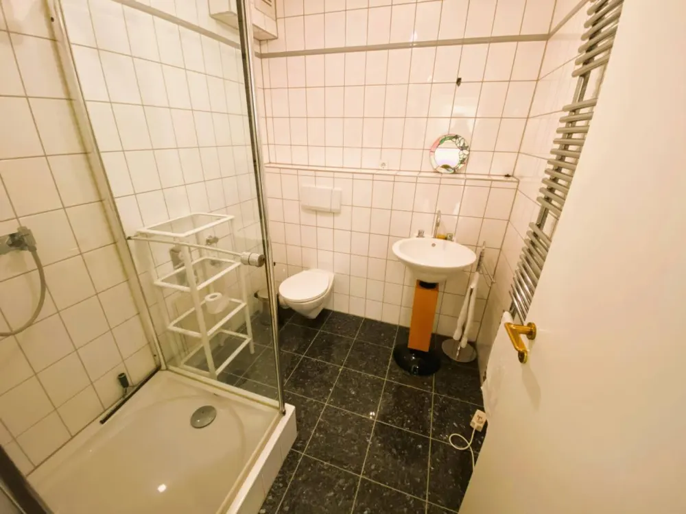 Exklusive 5-Raum-Wohnung im Waldstraßenviertel