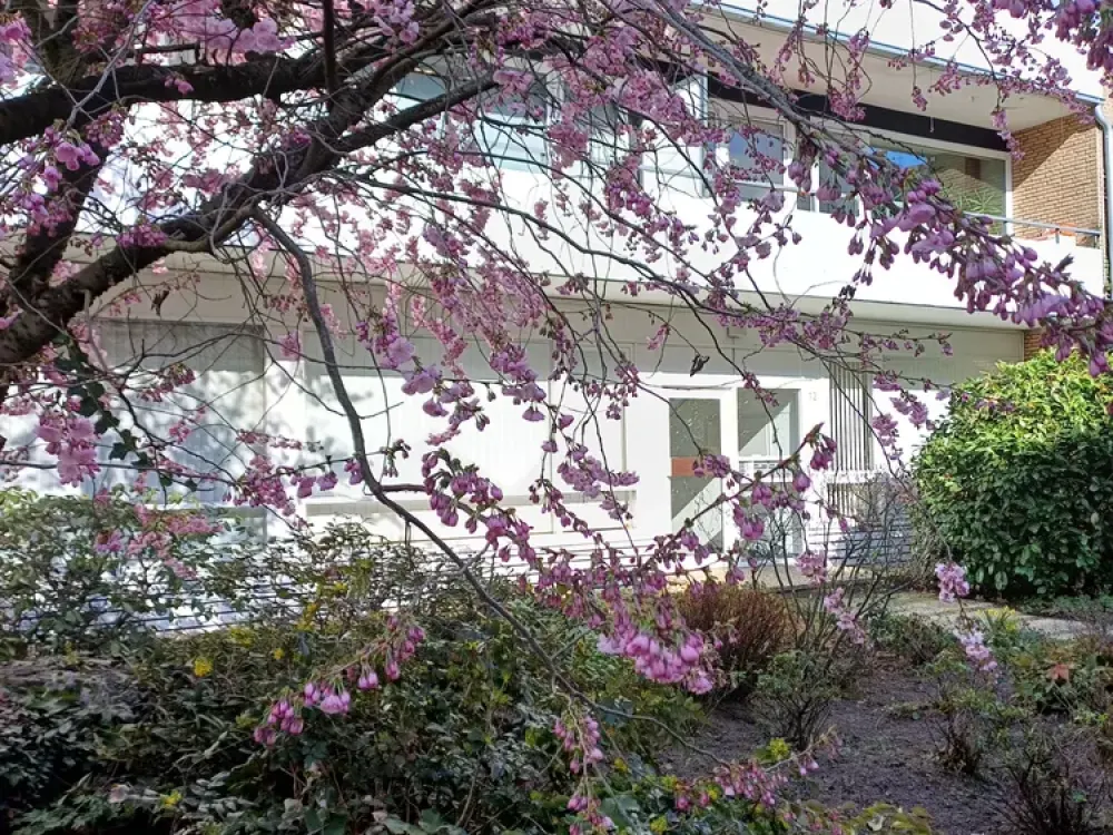 Bright 3-Room Apartment in Bismack District Near Stadtwald