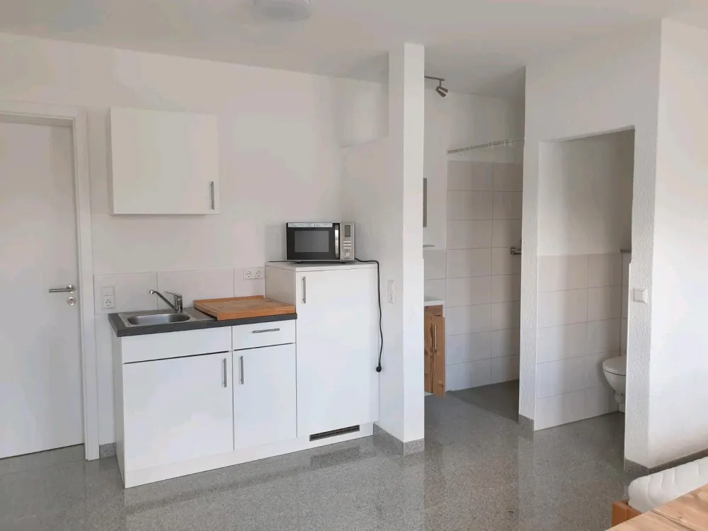1-Room Apartment