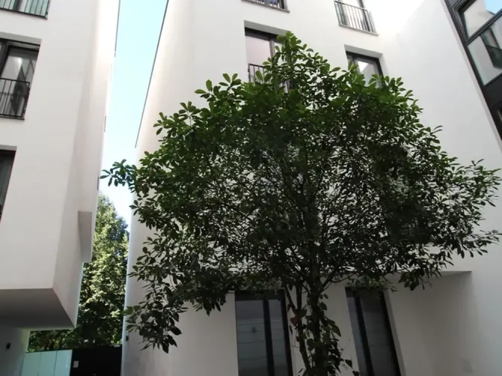 Hochwertige, zentrale Stadtwohnung mit Loggia/ eine Ruheoase, direkt in den Wallanlagen