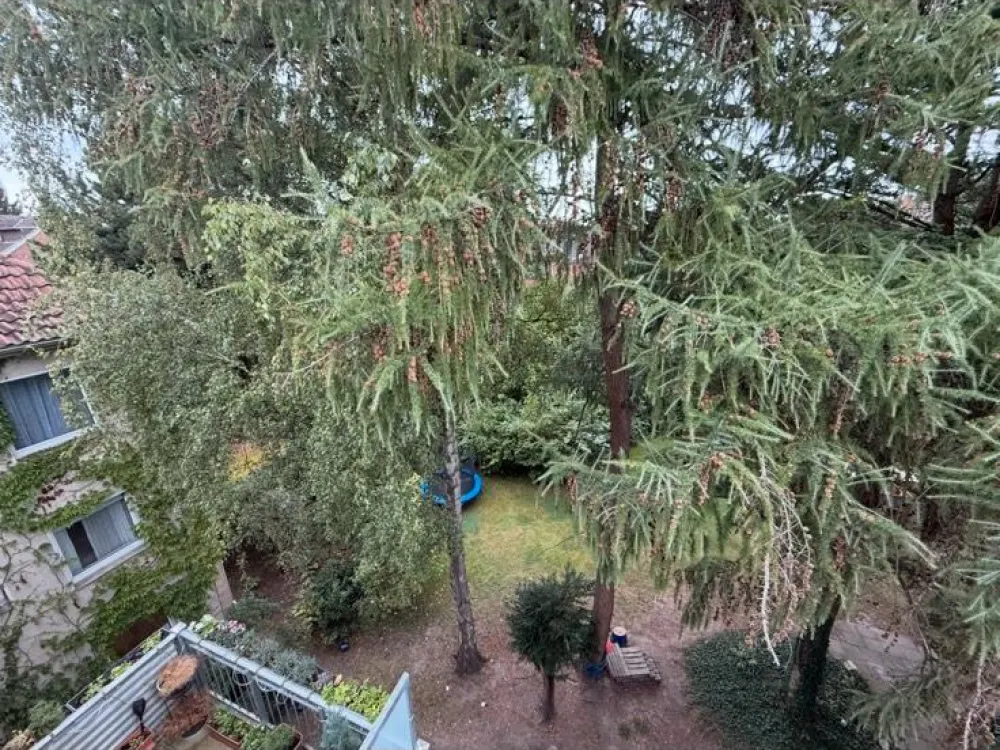 Erstbezug nach Kernsanierung - Single Dachgeschosswohnung
