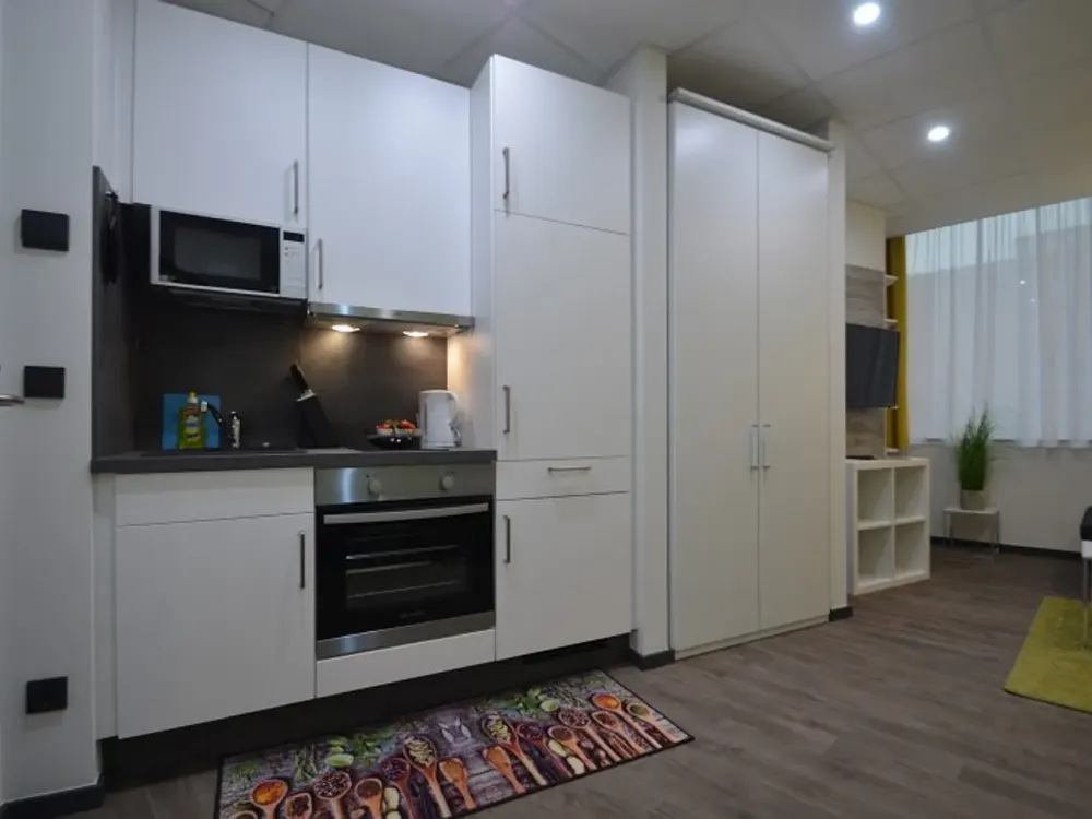 Schickes 1-Zimmer-Apartment, bequem und voll ausgestattet, Offenbach