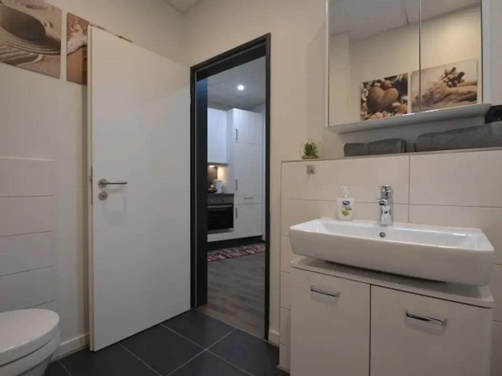 Schickes 1-Zimmer-Apartment, bequem und voll ausgestattet, Offenbach