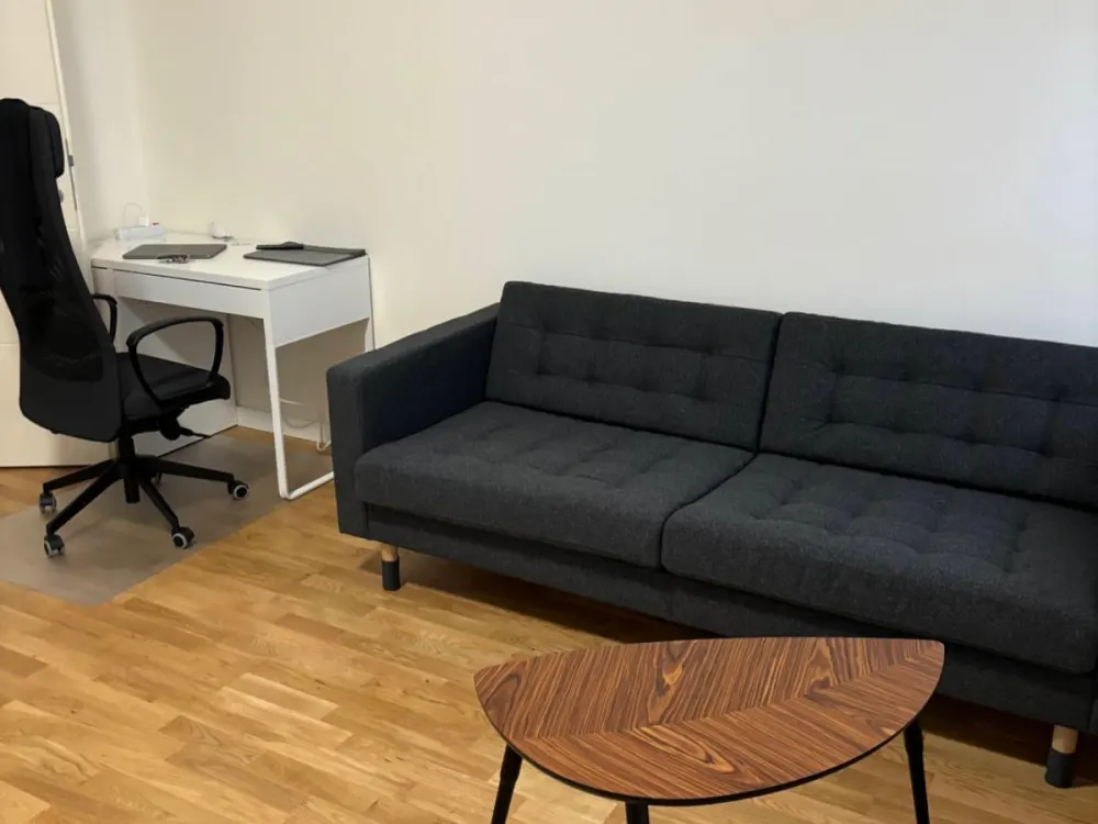 Schöne 1 Raumwohnung, super angebunden