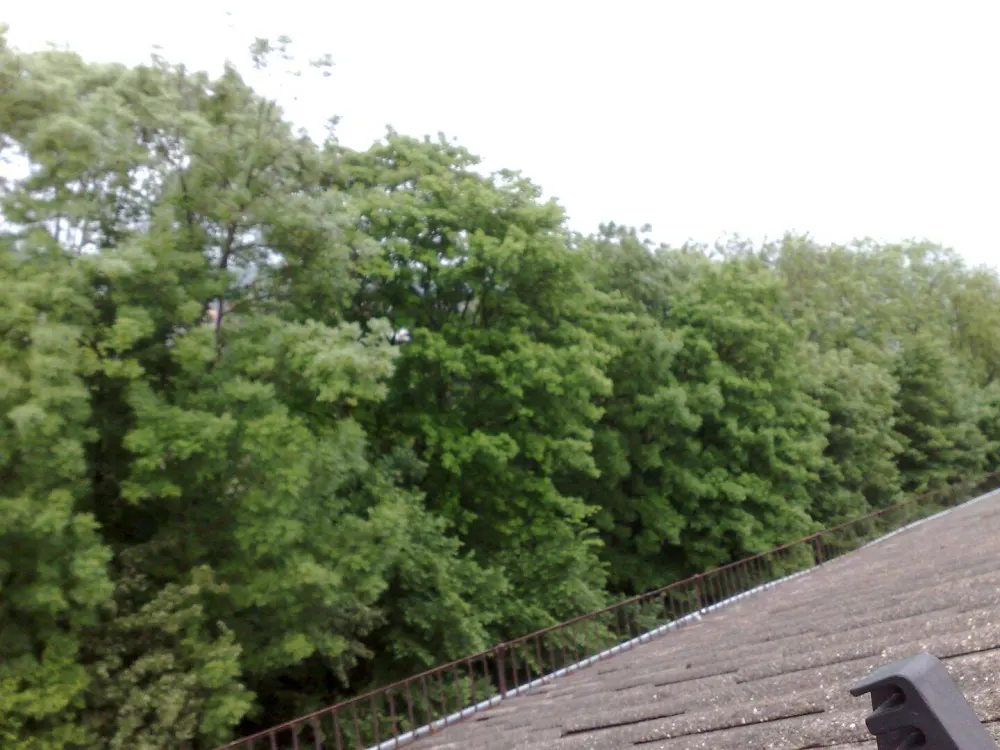 /Tannenwäldchen: Zentral gelegene renovierte Wohnung mit Blick auf Kassel