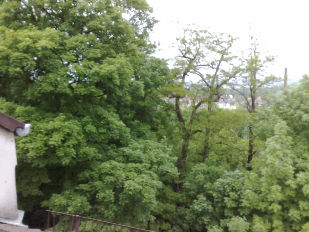 /Tannenwäldchen: Zentral gelegene renovierte Wohnung mit Blick auf Kassel