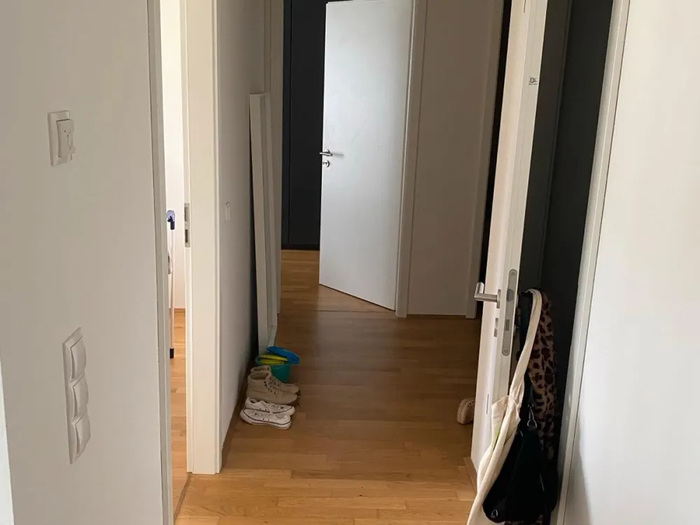 3-Zimmer-Wohnung in Johannstadt