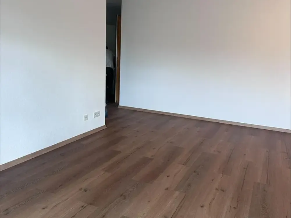 Completely Renovated 3.5-Room Apartment with Elevator and Garage
