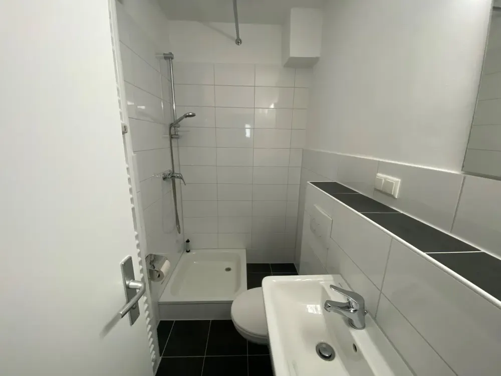 Bright 1-Room Apartment with Balcony