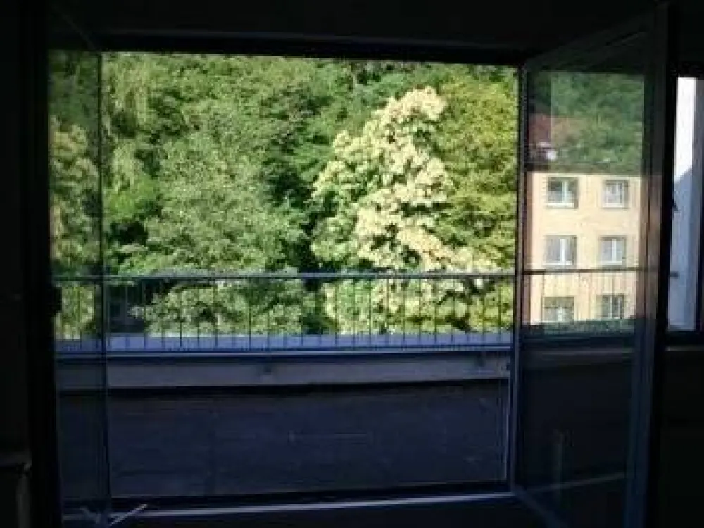 Penthouse - Apartment, Terrasse, Süd-OST-Seite