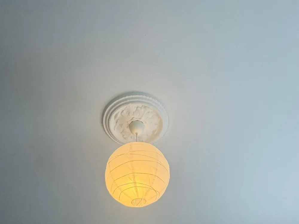 1.5 zimmer Studio Wohnung (OKT-NOV)