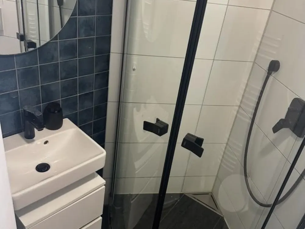 Wohnung miete