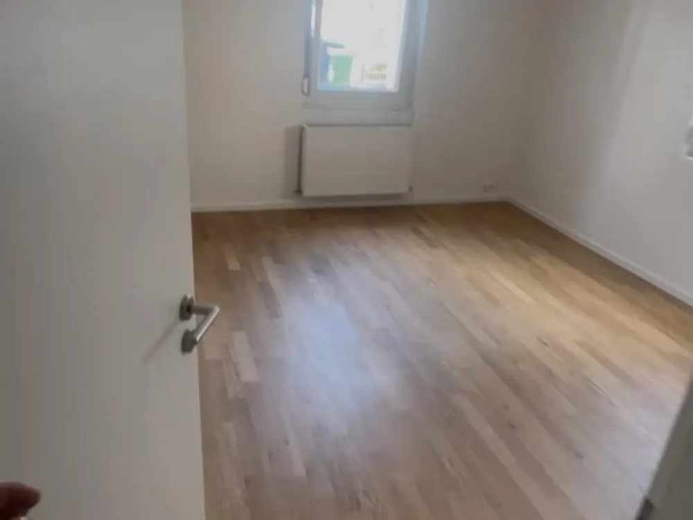 Wohnung miete