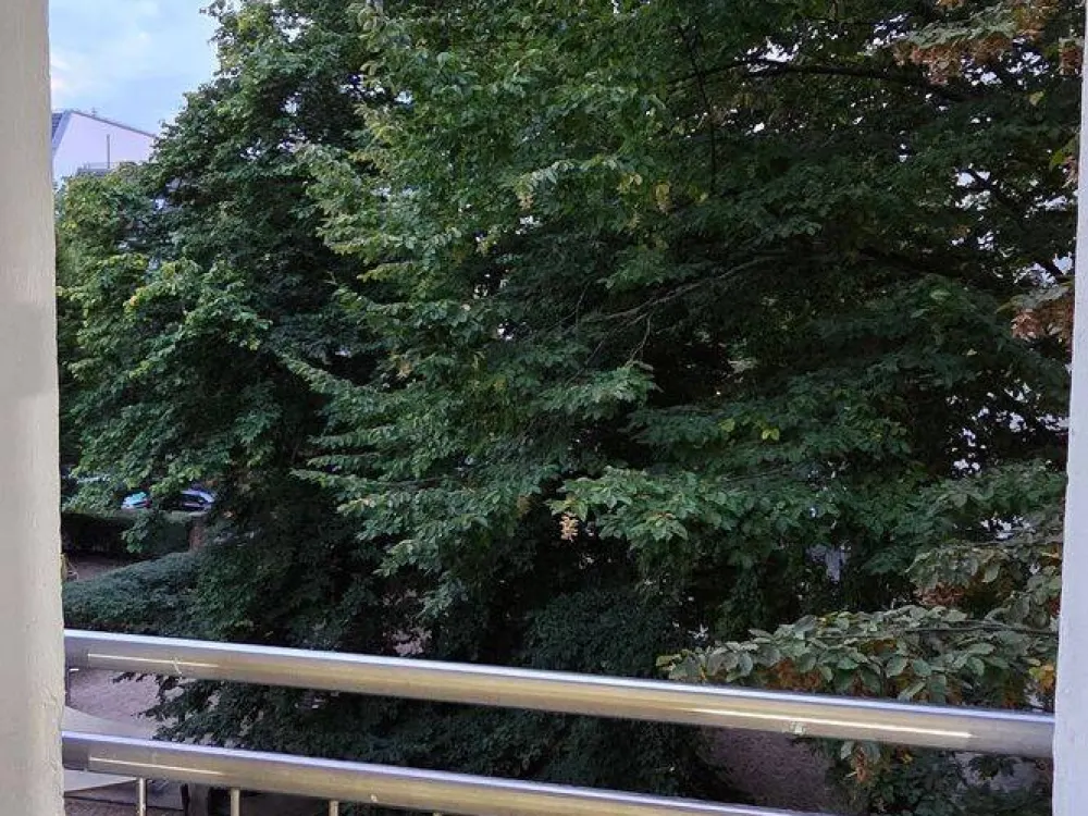 Sehr helle, neu renovierte Einzimmerwohnung in Weissensee