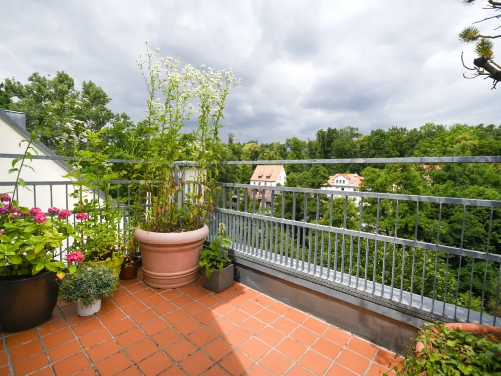 Boutique Apartment with Winter Garden and Roof Terrace