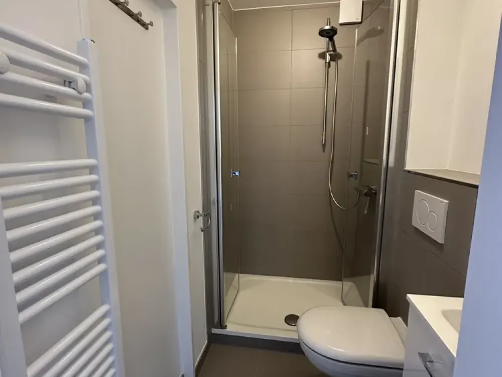Modernized 1-Room Apartment with Modern Bathroom for Single Household