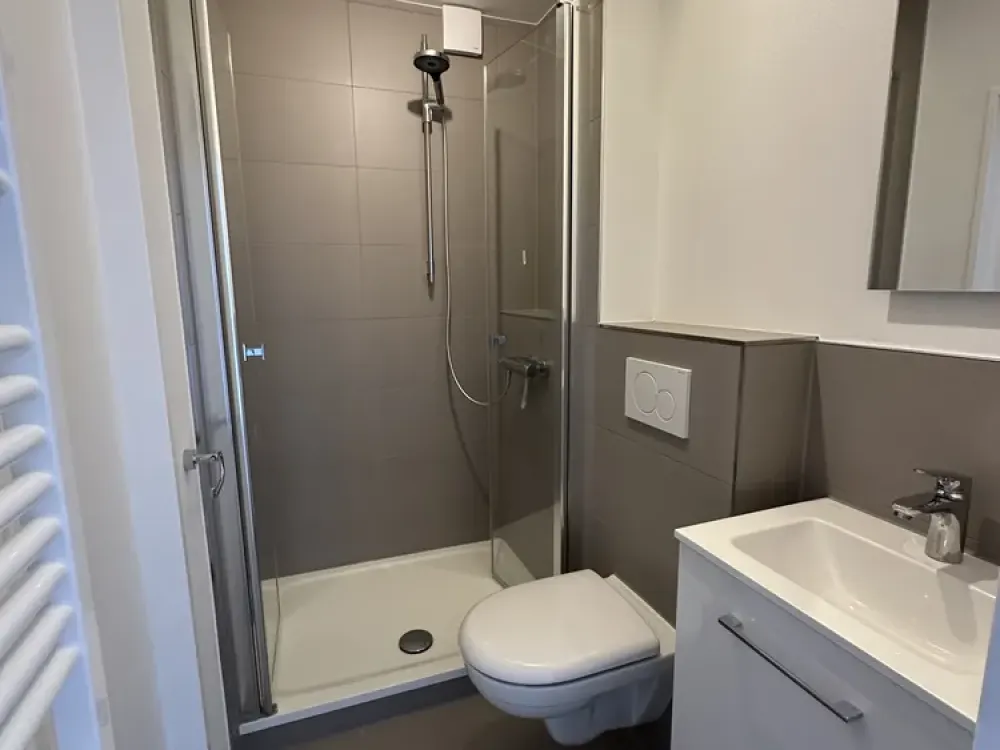 Modernized 1-Room Apartment with Modern Bathroom for Single Household
