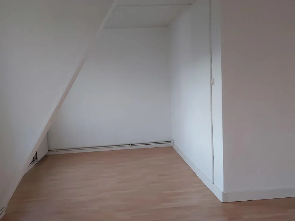 große 2-3-Zimmerwohnung