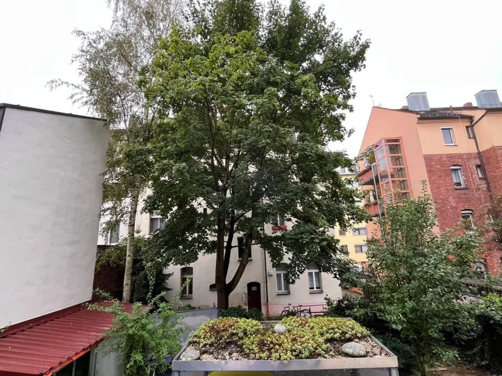 Quiet and Fully Furnished Apartment with Low Energy Costs and Balcony