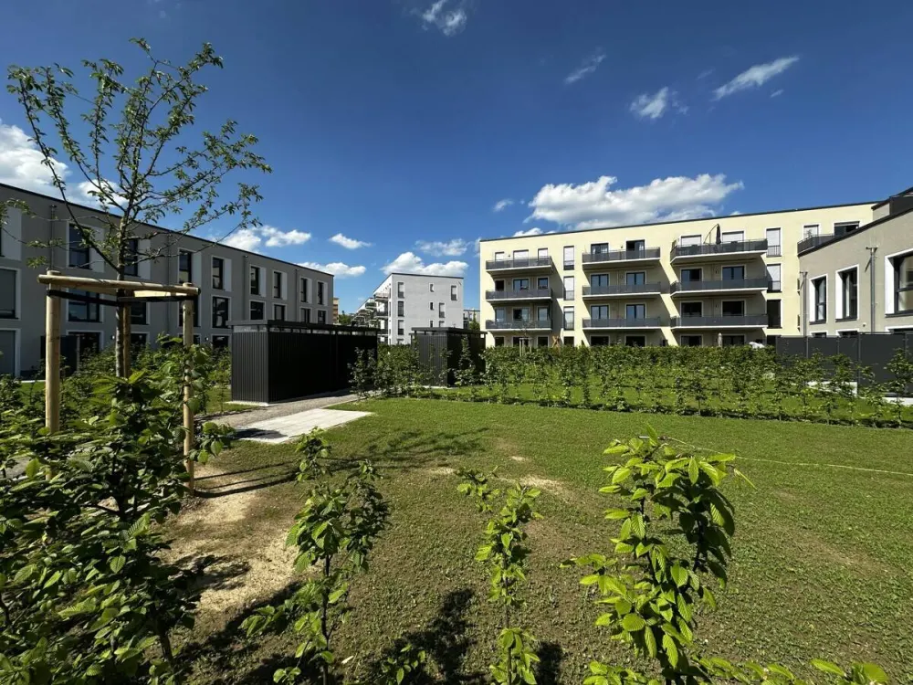 Exklusive 4-Zimmer-Neubauwohnung im Erdgeschoss - Barrierefrei mit großer Sonnenterrasse