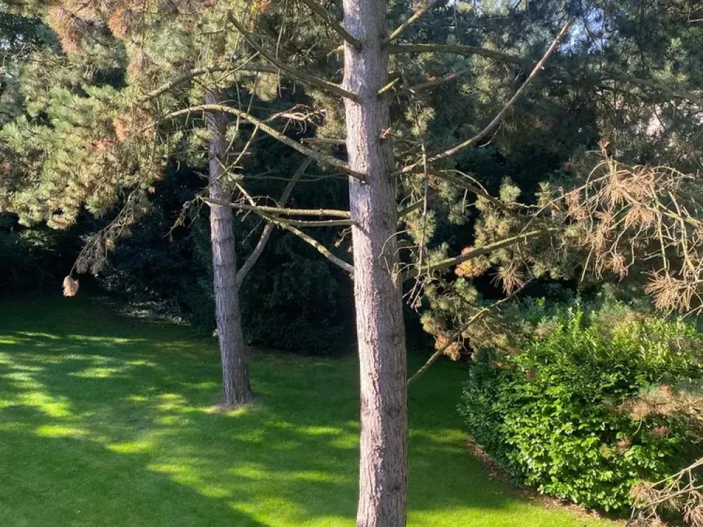 Bright and Well-Maintained 1-Room Apartment in Stellingen, Hamburg