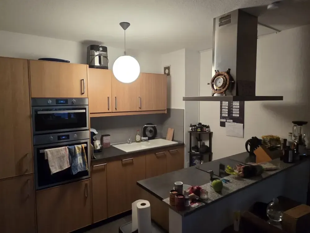 3-room apartment with large balcony and park view