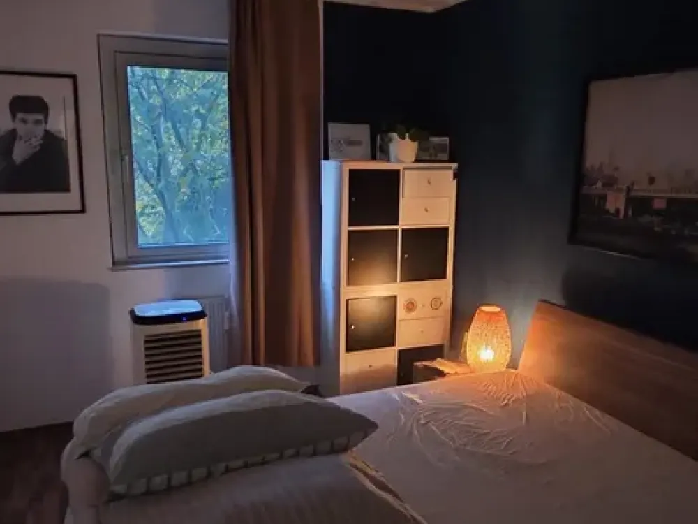 3-room apartment with large balcony and park view
