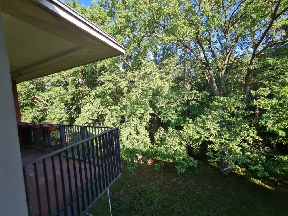 Am Grunewald | Dahlem | Zeitmietvertrag 3 Jahre| vollmöbliert| großer Balkon| Einbauküche