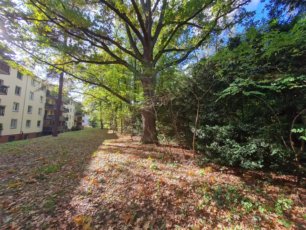 Am Grunewald | Dahlem | Zeitmietvertrag 3 Jahre| vollmöbliert| großer Balkon| Einbauküche