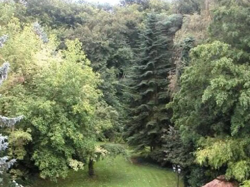 Dortmund Brechten 2-Raum-Studio, ca. 40 qm, direkt am Wald, Balkoneffektfenster