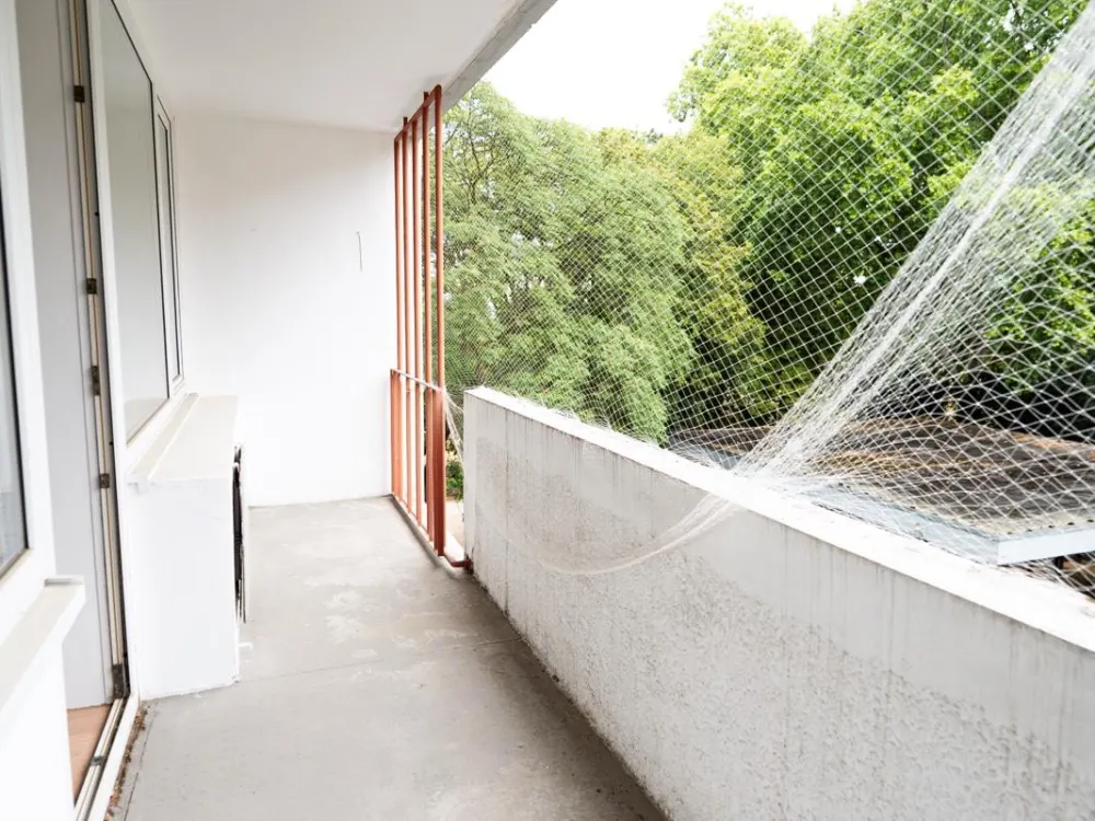 3 Zimmerwohnung in der Innnenstadt von Frankfurt zu vermieten