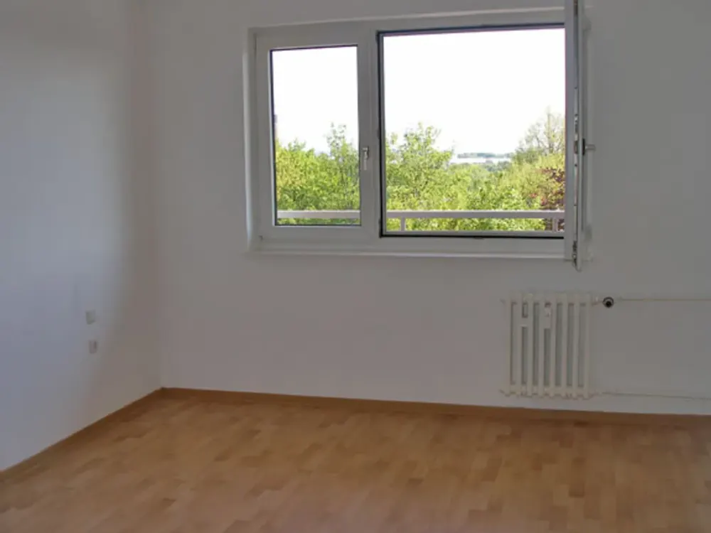 2 Room Apartment with Kitchen and Bathroom, Ground Floor, Completely Renovated