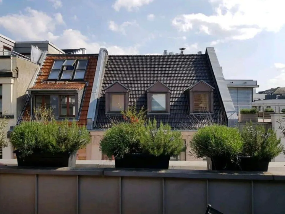 Schöne Maisonette Wohnung mit Terrasse in Köln