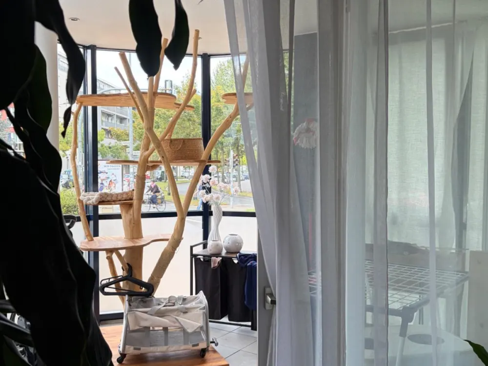 Schöne 3-Raum-Wohnung barrierefrei KTV Rostock