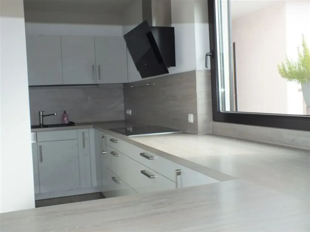 Penthouse in the middle of Nauheim with approx. 135m² living space and 185m² terrace and garage