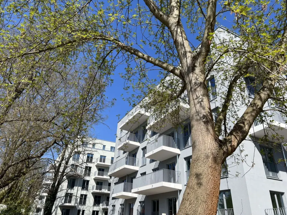3 Zimmer mit Wohnküche und ein großer Balkon