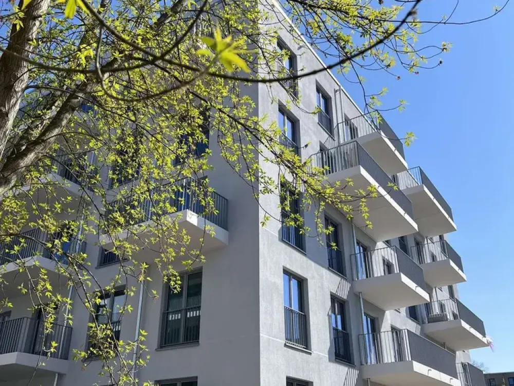 3 Zimmer mit Wohnküche und ein großer Balkon