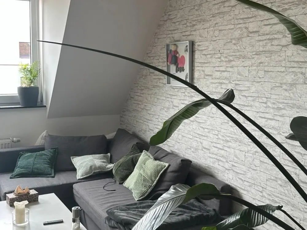 Helle 3 Zimmer Altbauwohnung in der List