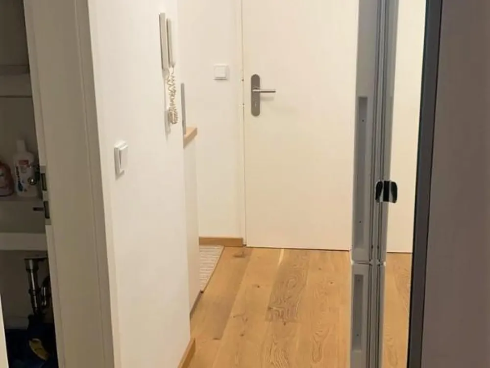 Großes, helles Apartment in Solln zu vermieten