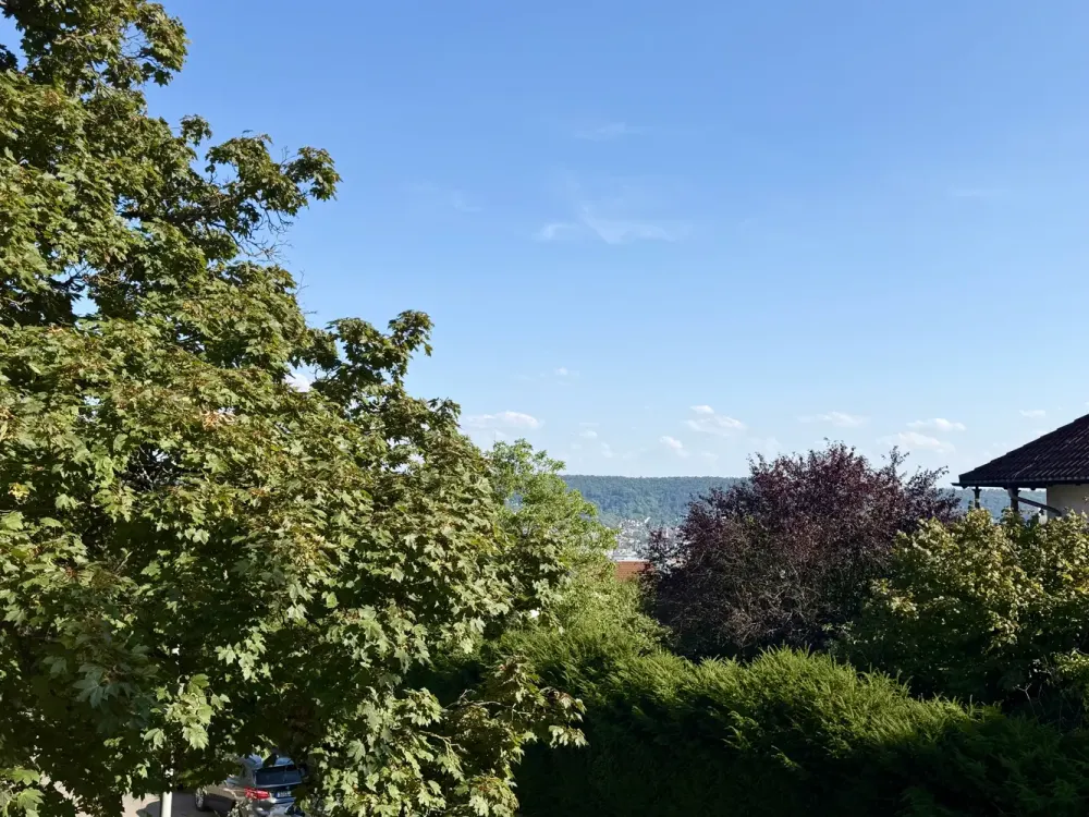 Höhenlage Killesberg: Im Grünen und mit Blick auf die Stadt