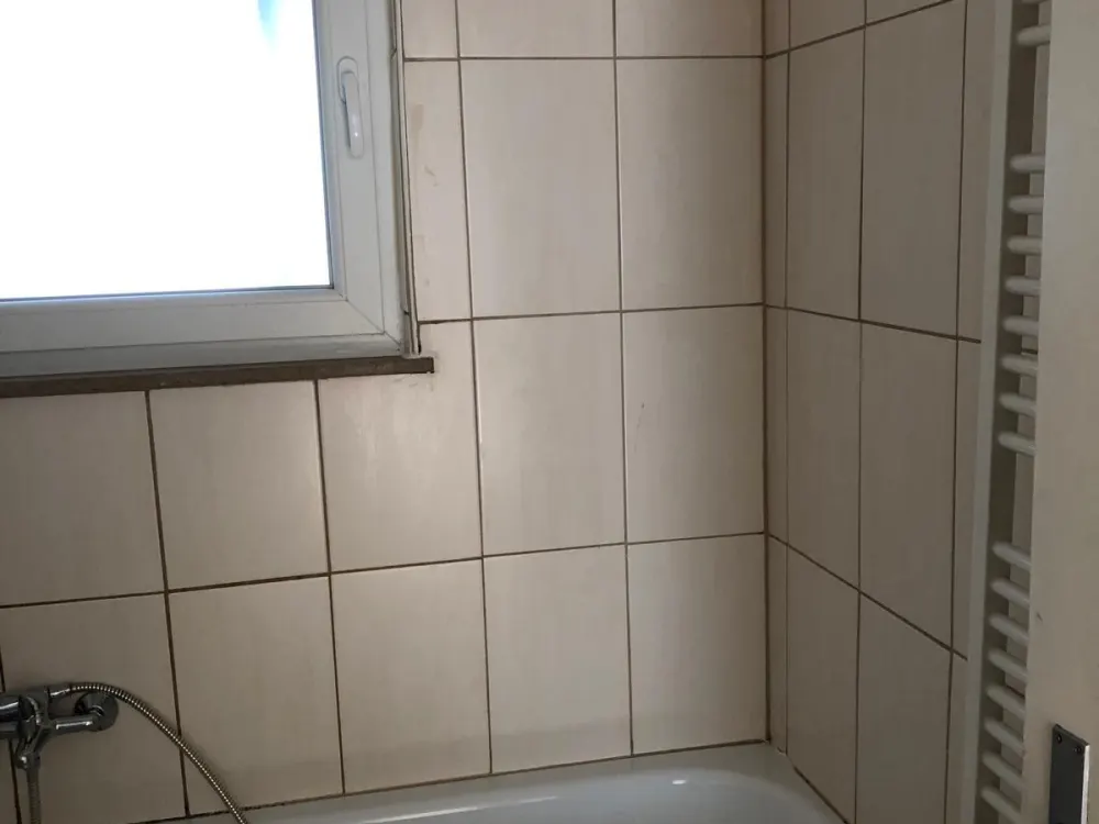 4 Zimmerwohnung Erdgeschoss