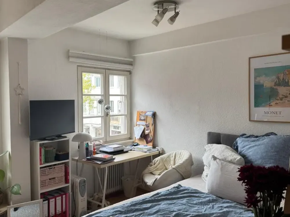 Furnished 1-Room Apartment, Pedestrian Zone Ravensburg, LIMITED, Jan., Feb., March 2027, DHBW B-Phase
