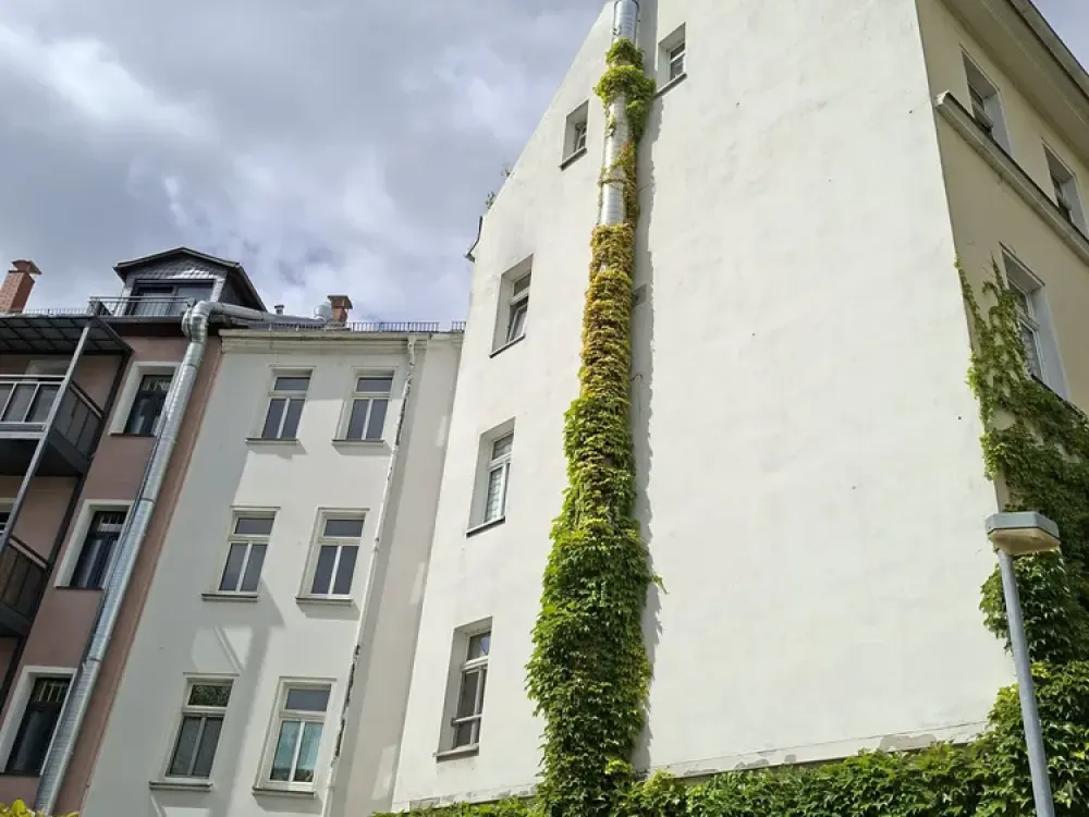 Modernized 2-Room Apartment
